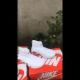 Shop giày thể thao Capvirgo